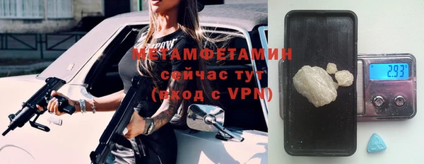 хмурый Алексин