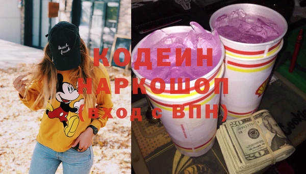 хмурый Алексин