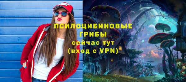 хмурый Алексин
