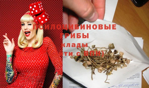 хмурый Алексин