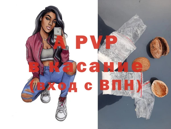 хмурый Алексин