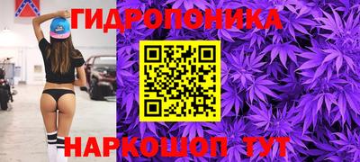 соль ск Ипатово