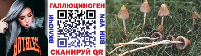 Галлюциногенные грибы Magic Shrooms  KRAKEN сайт  нарко площадка телеграм  закладка  Учалы 
