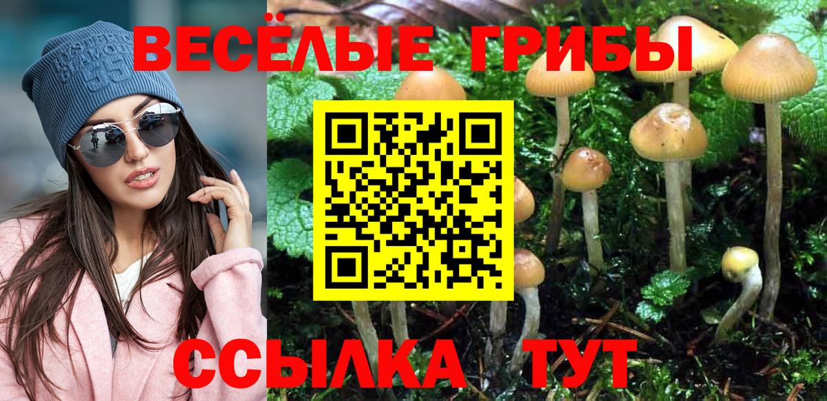 Псилоцибиновые грибы Cubensis  Вход с VPN  Учалы 